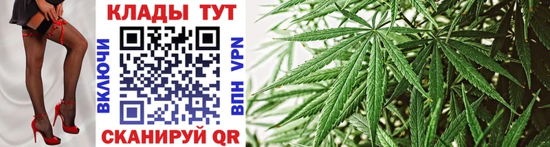 Где купить Шумиха Alpha-PVP  Гашиш  Бошки Шишки  Cocaine 