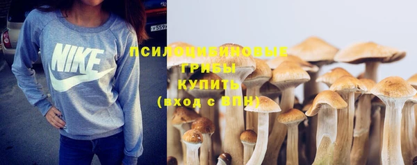 молекула духа Балахна