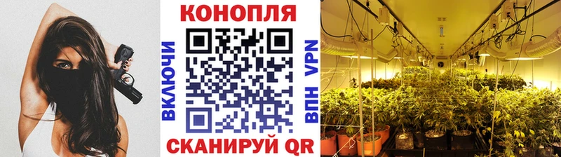 Марихуана MAZAR Шумиха